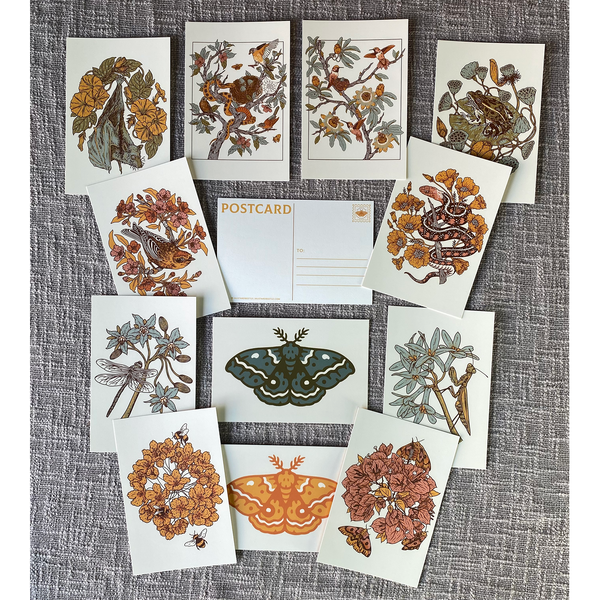 12 postcards featuring the following designs: Snake & Poppies, Palm Warbler & Plum Blossoms, Flying Fox, Lotus Pods, Dragonfly, Mantis, Gold Medallion, Bougainvillea, Hummingbirds & Passionflowers, Robins & Gopher Snake, IO Moth (blue), IO Moth (Mustard)
