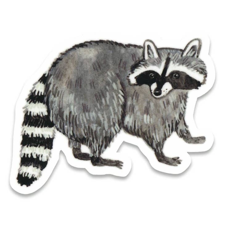 Raccoon Sticker