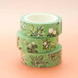 This cute washi tape features 12 of our favorite tropical houseplants: Ficus tineke, Peperomia argyreia "watermelon peperomia", Philodendron scandans brasil, Monstera deliciosa variegated, Begonia maculata, Philodendron Silvery Anne, Ctenanthe lubbersiana, Pilea peperomioides, Staghorn fern, Stromanthe triostar, Monstera adansonii, Hoya krinkle8.