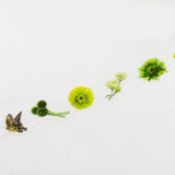 Green Flower Washi Tape Yano Design