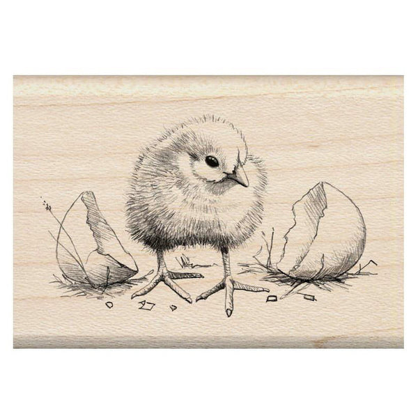 Chick Rubber Stamp • Inkadinkado Mounted Rubber Stamp