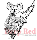 Koala Bear Rubber Stamp